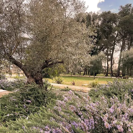 Trullo Panna Fragola - Exclusive Four Bedroom & Private Pool Villa Martina Franca